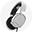 icon items